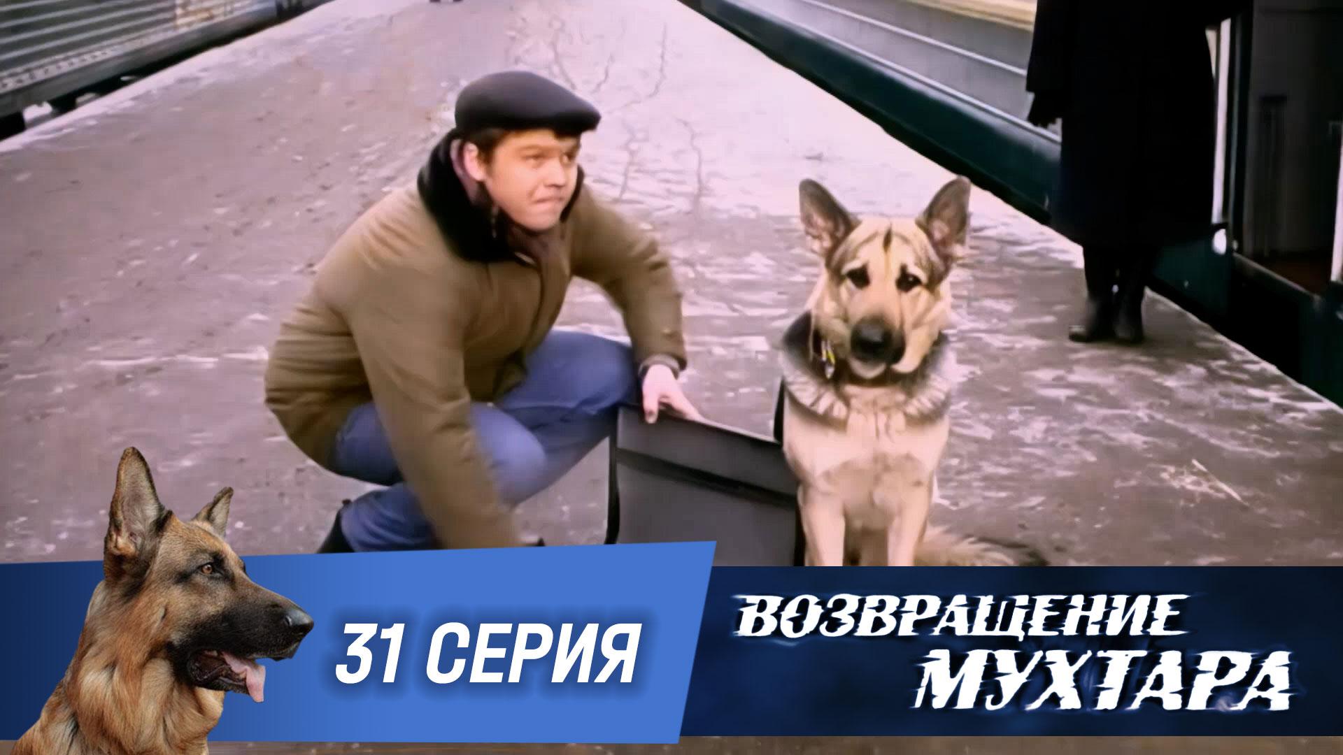 Возвращение Мухтара: Девятый маршрут (1 сезон. 31 серия)