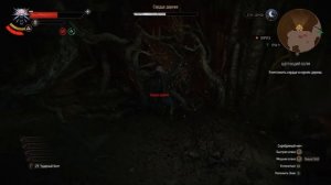 Ведьмак 3 (Прохождение). Хозяйки леса.