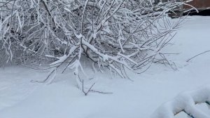 Что делать с новым кошельком, чтобы в нём водились деньги. Ритуал на кошелёк Эзотерика для тебя