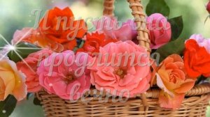 С Днем Рождения женщине! / Поздравление с Днем Рождения женщине!