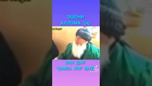 Эшони АЛЛОМА ДАР БОРАИ ЗАН