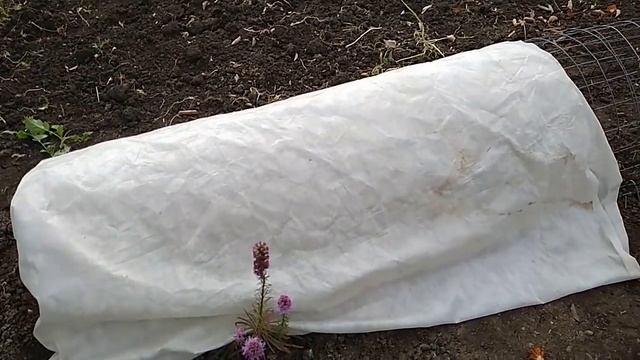 Как сделать прочный каркас для укрытия роз на зиму.