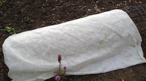 Как сделать прочный каркас для укрытия роз на зиму.