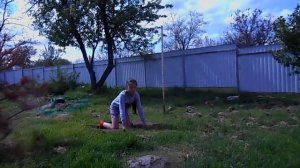 Выращивание гусят в домашних условиях