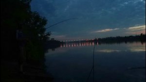 Один из моих любимых способов ловли - ловля на живца донными снастями!