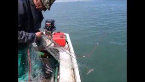 FISHING IN BATUMI   рыбалка в Батуми  თევზაობა ბათუმში  APRIL 2018