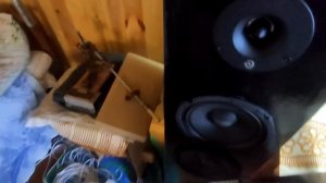 Домашний Автозвук. Как подключить, настроить и пропитать бюджетную музыкальную систему