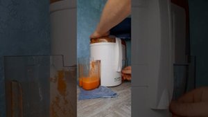 ОБЗОР СОКОВЫЖИМАЛКИ АКСИОН 32.01
