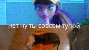 нет ну ты совсем тупой