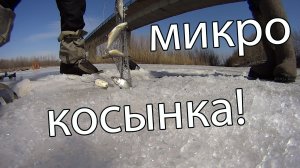 Рыбалка на микро косынку для мелкой глубины!  как поставить косынку зимой! ловля ельца!