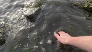 Под Владиком. смотреть онлайн