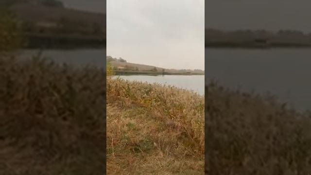 Пронское водохранилище