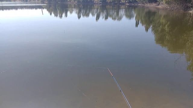 как словить карасика за 1минуту ? Секрет рыбалки !!!!! лучшая наживка на карася . рыбалка на донку смотреть онлайн