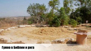 Гумно в Библии и рига