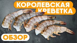 ВАННАМЕЙ из ИНДИИ. Обзор креветок ваннамей.