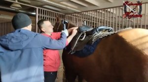 Как Казаки коня седлают