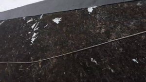 Что произошло с OSB после пяти лет. что если намочить OSB, как разрушается OSB.