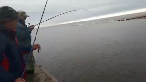 Сахалин. Устье реки Красногорка.