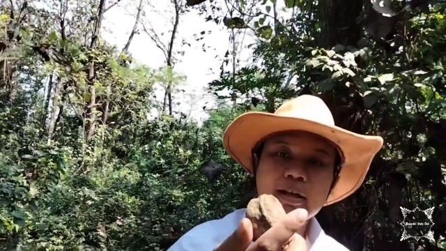 MISTERI !!! KEHEBATAN KAPAL JUNG MAJAPAHIT TERUNGKAP DARI RAHASIA HUTAN INI смотреть онлайн
