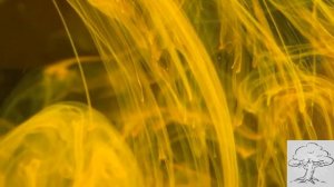 Медитация от гнева, злости и агрессии.