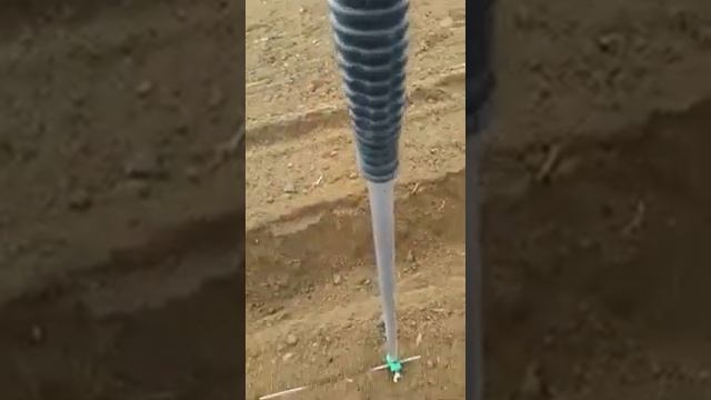 Необычная посадка картофеля в Южной Корее.