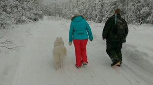 Путешествие на гору Полюд в Пермском крае