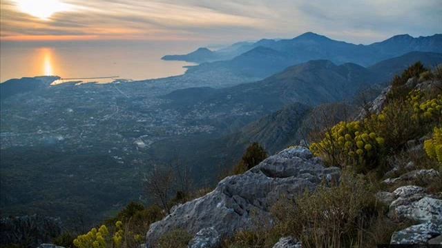 Игорь Ашутов смотреть онлайн