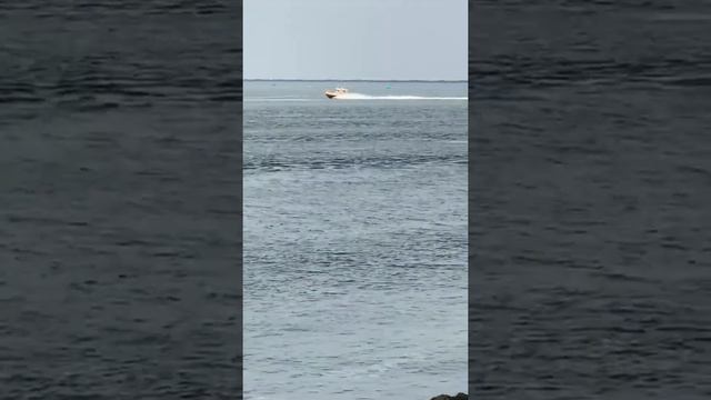 Морские Контейнеры. Цены, Ставки, Перевалка, Перетарка.