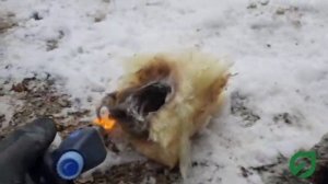 Эковата или минвата, что лучше горит? Реальный отзыв заказчика и его эксперимент.