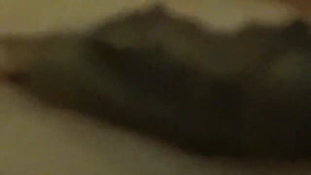 Метаморфоз Крапивницы (Aglais urticae). Часть 4 смотреть онлайн