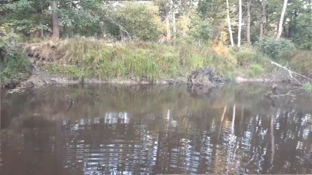 Рыбалка на ПОПЛАВОК осенью! Fishing on the FLOAT in autumn!