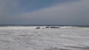 Шри-Ланка авг. 2016. Амбалангода. Пляжи.