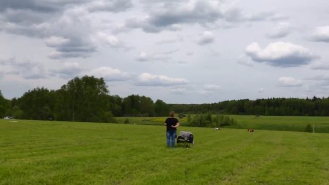 Басенджи KILIMANJARO KAISER (к) и УИЛЛ ОФ АДАМАНТ (б). ЧРКФ, БК Раздолье, Калужская обл. 2021. смотреть онлайн