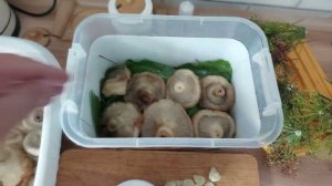 Засолка сырых груздей, быстро и очень просто)))