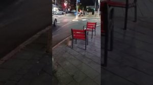 экшин во время бомбардировки по Израилю !