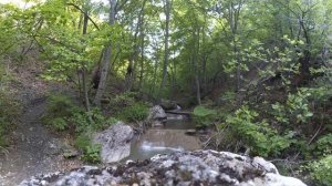 Красноселовка, Ускут, Приветное