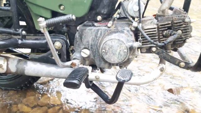 Альфа и Скаут смотреть онлайн