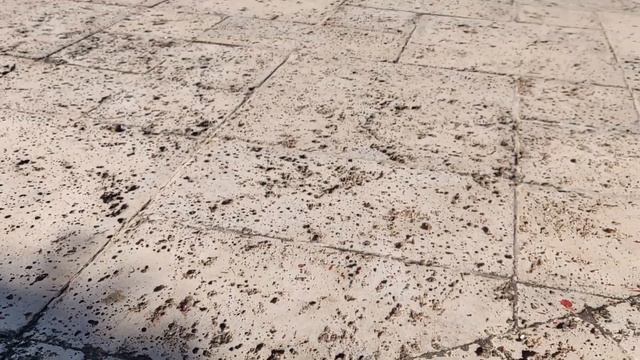 Cuba Varadero Brisas del Caribe смотреть онлайн