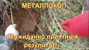 МЕТАЛЛОКОП. НЕОЖИДАННО  ПРИЯТНЫЙ  РЕЗУЛЬТАТ!..