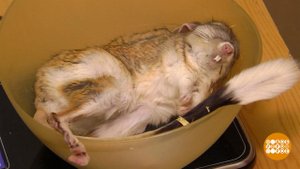 Впали в спячку? Подъем! Доброе утро. Фрагмент выпуска от 06.12.2021