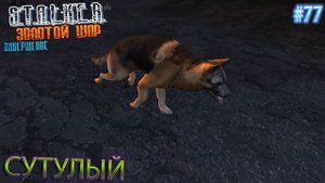 СУТУЛЫЙ | S.T.A.L.K.E.R. ЗОЛОТОЙ ШАР ЗАВЕРШЕНИЕ | Серия 77