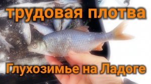 Зимняя рыбалка на Ладожском озере. Плотва от заката до рассвета, ночная рыбалка