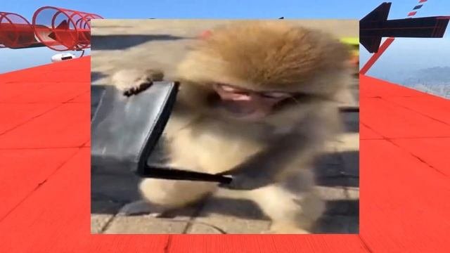 Как правильно списывать в ШКОЛЕ?