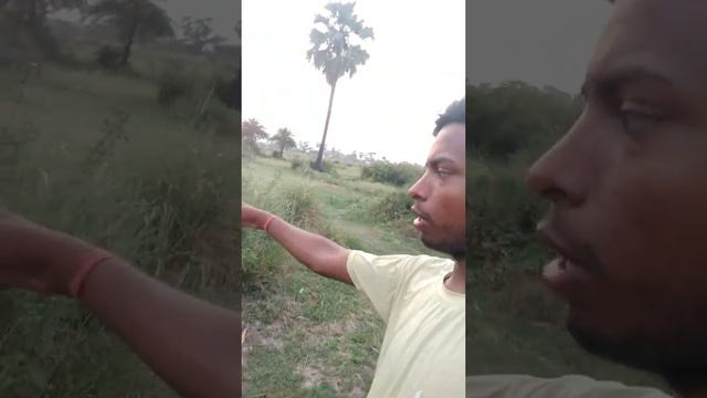 my new blog viral video on YouTube