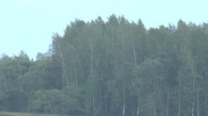 Пневматика Crosman Benjamin Trail NP