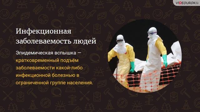 24. Инфекционная заболеваемость людей и защита населения