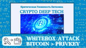 Извлечение секретного ключа  WhiteBox Attack on Bitcoin с дифференциальными ошибками по схеме DFA