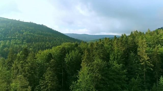 Медитация Релаксация смотреть онлайн