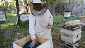 ВЕНТИЛЯЦИЯ И УТЕПЛЕНИЕ ПЧЕЛИНОЙ СЕМЬИ В ЗИМУ!