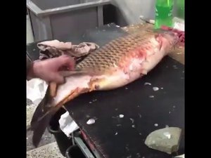 Как быстро почистить карпа
